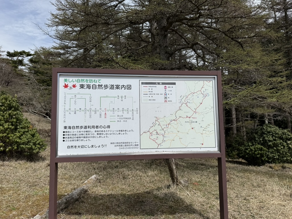 広場にある看板