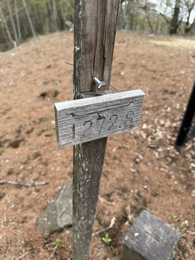 かろうじて残っている標識