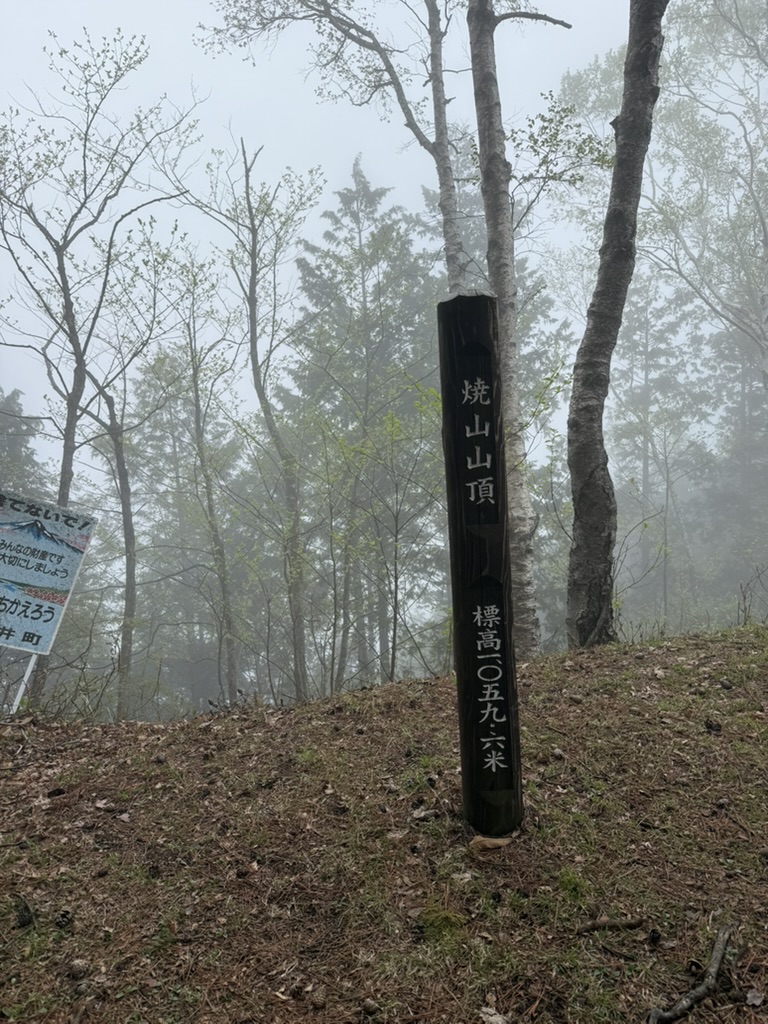焼山は眺望ゼロでした