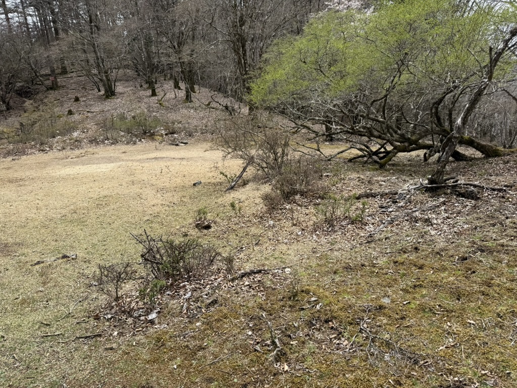 広場に出たりして